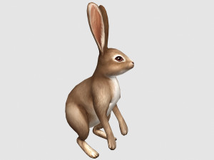 Aniamted rabbit 3D Model