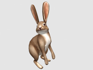 Aniamted rabbit 3D Model