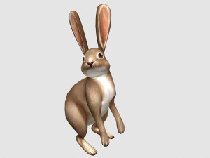 Aniamted rabbit 3D Model