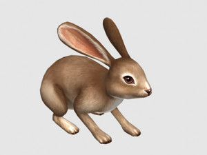 Aniamted rabbit 3D Model