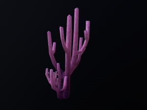 Seaweed coral underwater plant aquatic 3D 模型