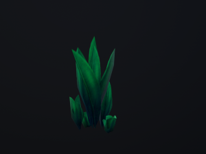 Seaweed coral underwater plant aquatic 3D 模型