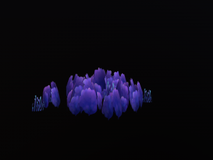 Seaweed coral underwater plant aquatic 3D 模型