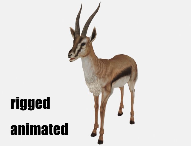 Antelope goat caprine sheep lamb deer animation 3D Модель .c4d .max .obj .3ds .fbx .stl .blend 