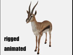 Animasi rusa domba caprine kambing antelope Model 3D