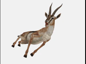Antelope goat caprine sheep lamb deer animation 3D Model
