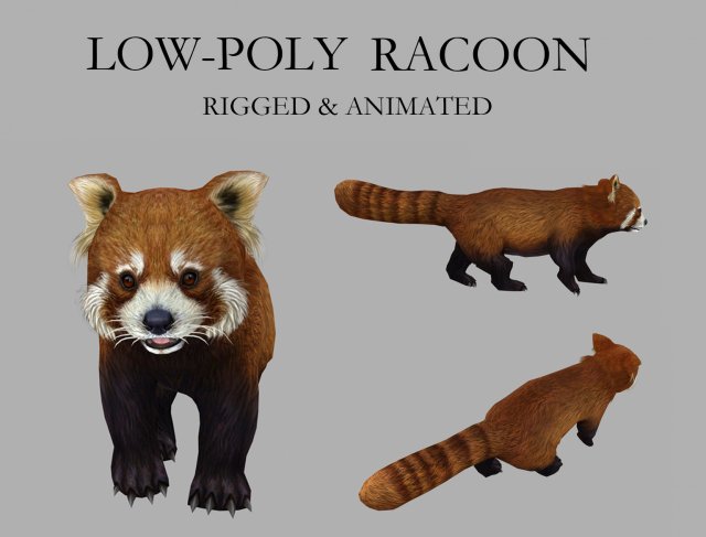 Red panda racoon palm civet 3D-Modell .c4d .max .obj .3ds .fbx .stl .blend 
