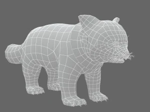 Red panda racoon palm civet 3D Model