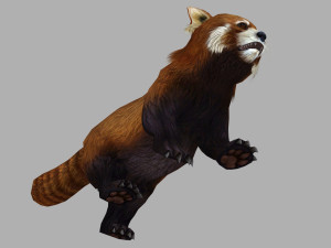 Red panda racoon palm civet 3D-Modell
