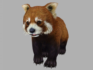 Red panda racoon palm civet 3D-Modell