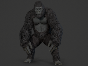 Gorilla ape orangutan Model 3D
