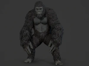 Gorilla ape orangutan 3D Model