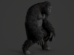 Gorilla ape orangutan Model 3D