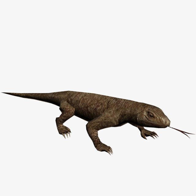 Lizard 3D Model .c4d .max .obj .3ds .fbx .stl .blend 