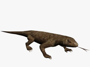 トカゲ 3Dモデル