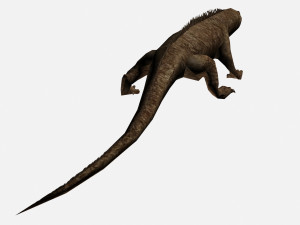 Lizard 3D Model