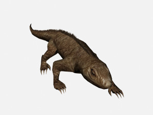 Lizard 3D Model