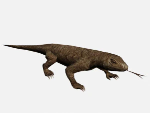 Lizard 3D Model