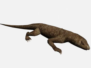 Lizard 3D Model