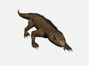 Lizard 3D Model