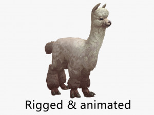 Alpaca Modèle 3D