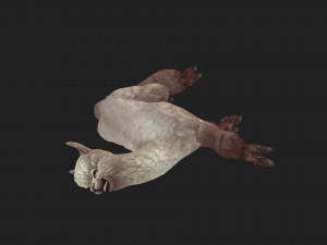 Alpaca 3D 모델