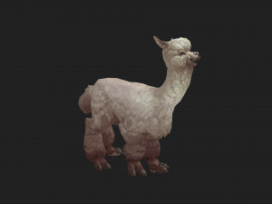 Alpaca 3D 모델