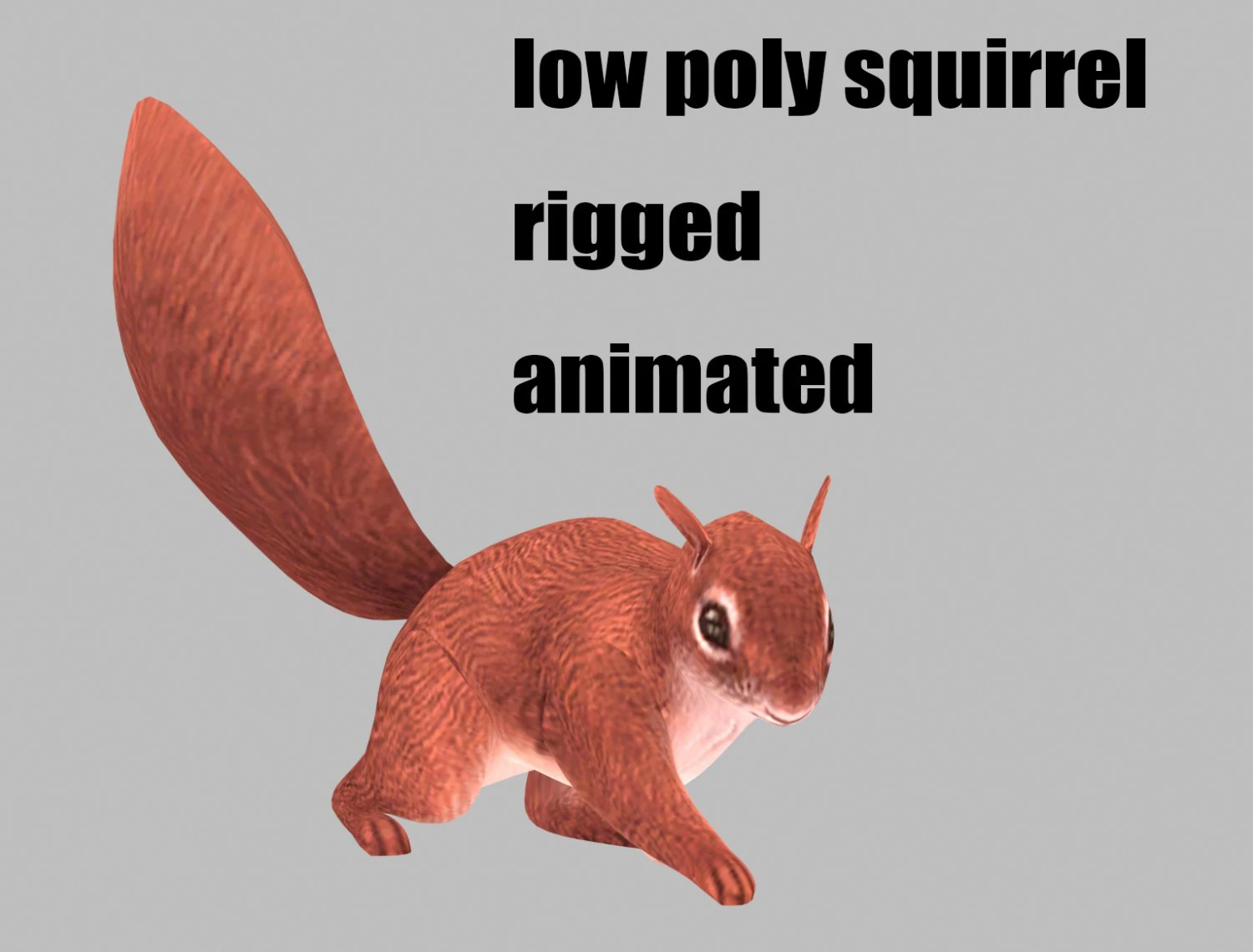Squirrel 3D Model .c4d .max .obj .3ds .fbx .stl .blend 