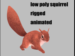 Squirrel 3D Model