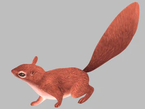 Squirrel 3D Model