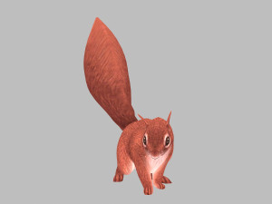 Squirrel Modello 3D