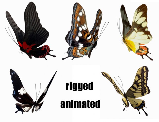 Butterfly 3D Model .c4d .max .obj .3ds .fbx .stl .blend 