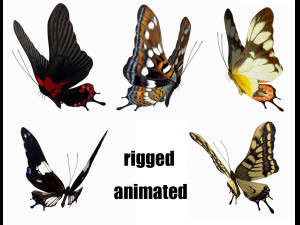 Butterfly 3D 모델