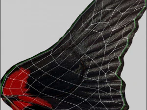 Butterfly 3D Model