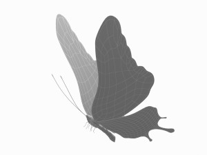 Butterfly 3D Model