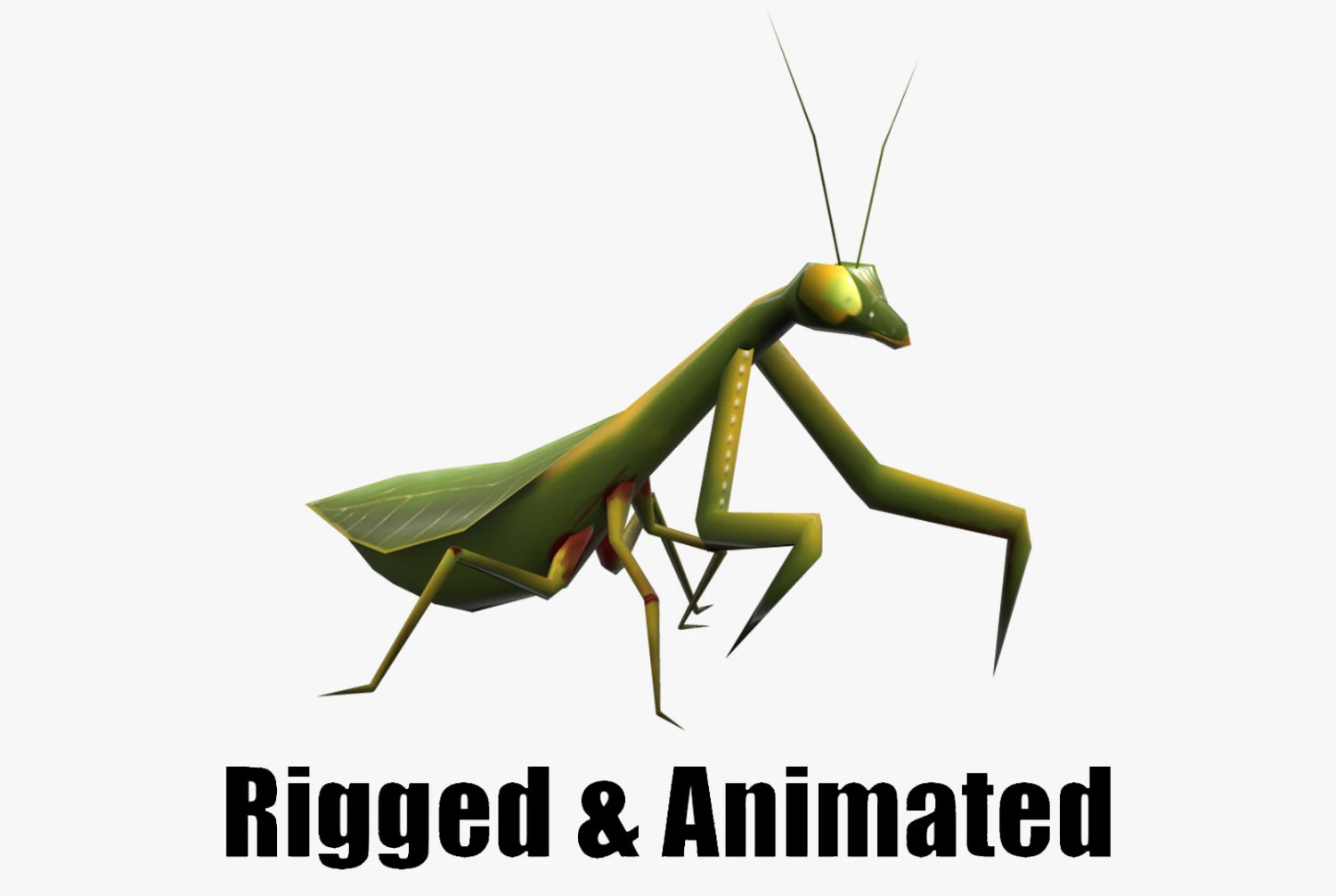 Animated Mantis 3D Model .c4d .max .obj .3ds .fbx .stl .blend 