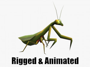 Animated Mantis 3D Model