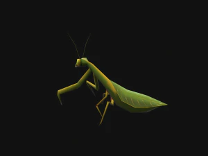 Animated Mantis 3D Model