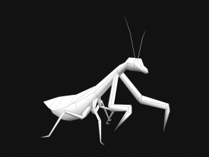 Animated Mantis 3Dモデル