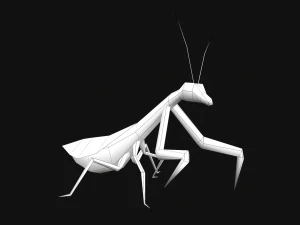 Animated Mantis 3D Model