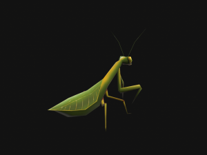 Animated Mantis 3Dモデル