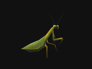 Animated Mantis 3D Model