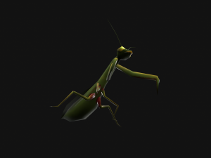 Animated Mantis 3Dモデル
