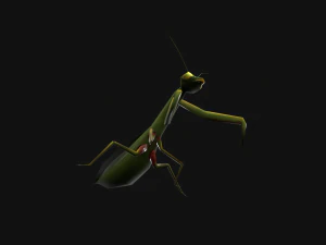 Animated Mantis 3D Model