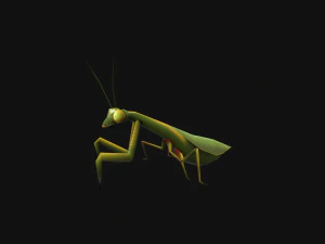 Animated Mantis 3D Model