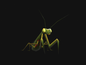 Animated Mantis 3Dモデル