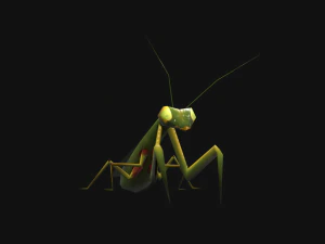 Animated Mantis 3D Model