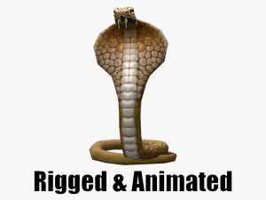 Serpente cobra animato Modello 3D