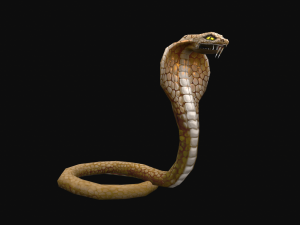 Animated cobra snake 3D Модель