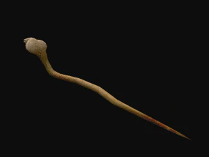 애니메이션 코브라 뱀 3D 모델